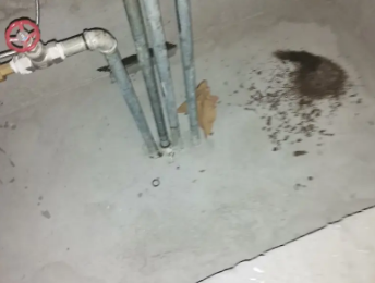 昌江卫生间测漏水价格明细