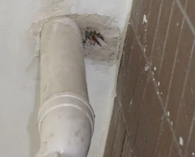 昌江漏水检测哪家好